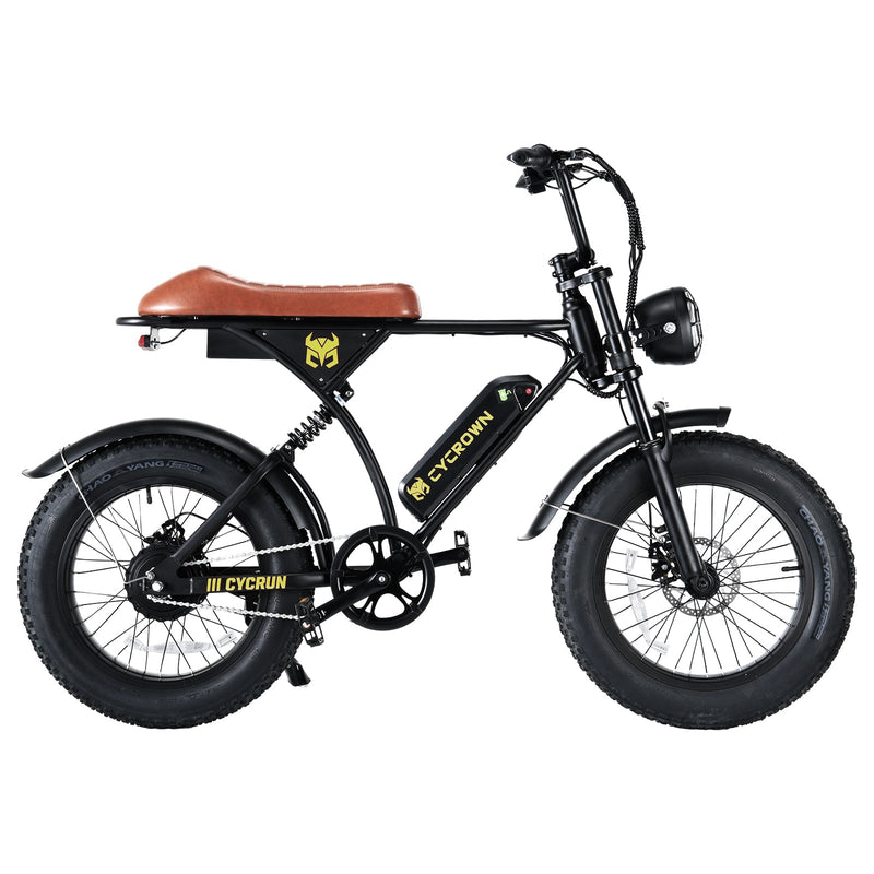 CycRun Vintage Moped Electric Bike Wellbots Free Shipping
