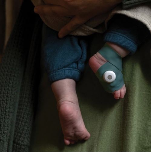Monitor inteligente para bebés Owlet Dream Sock