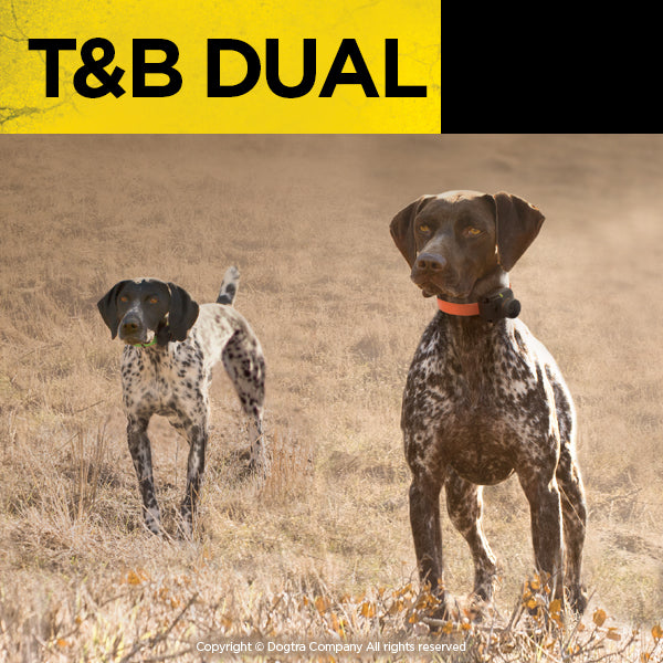 Dogtra T&B Dual 2-Dog Long Range 1.5-Mile Training & Beeper Remote Dog Training E-Collar