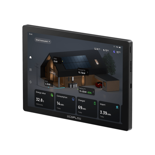 EcoFlow PowerInsight Home Energy Manager | Wellbots | Free Shipping