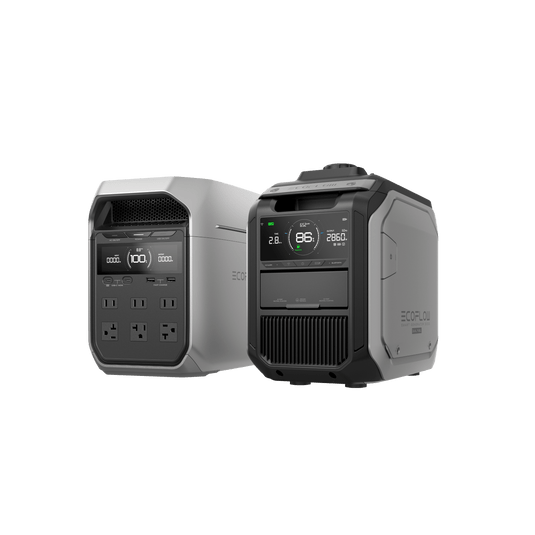 Generador inteligente EcoFlow 3000 (combustible dual) 