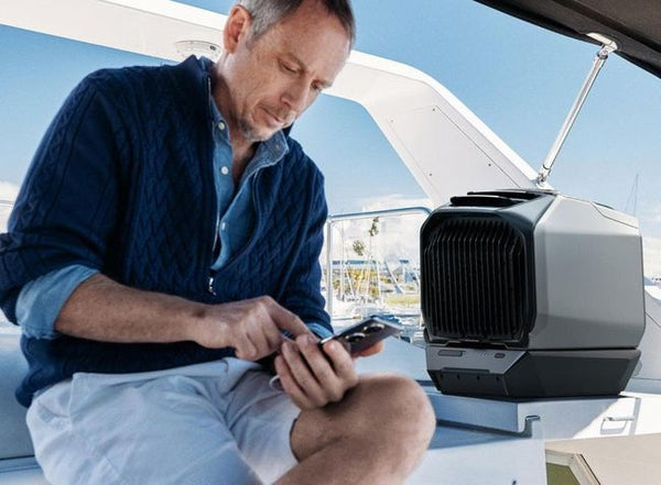 EcoFlow Wave 3 | Portable Air Conditioner and Heater | Wellbots