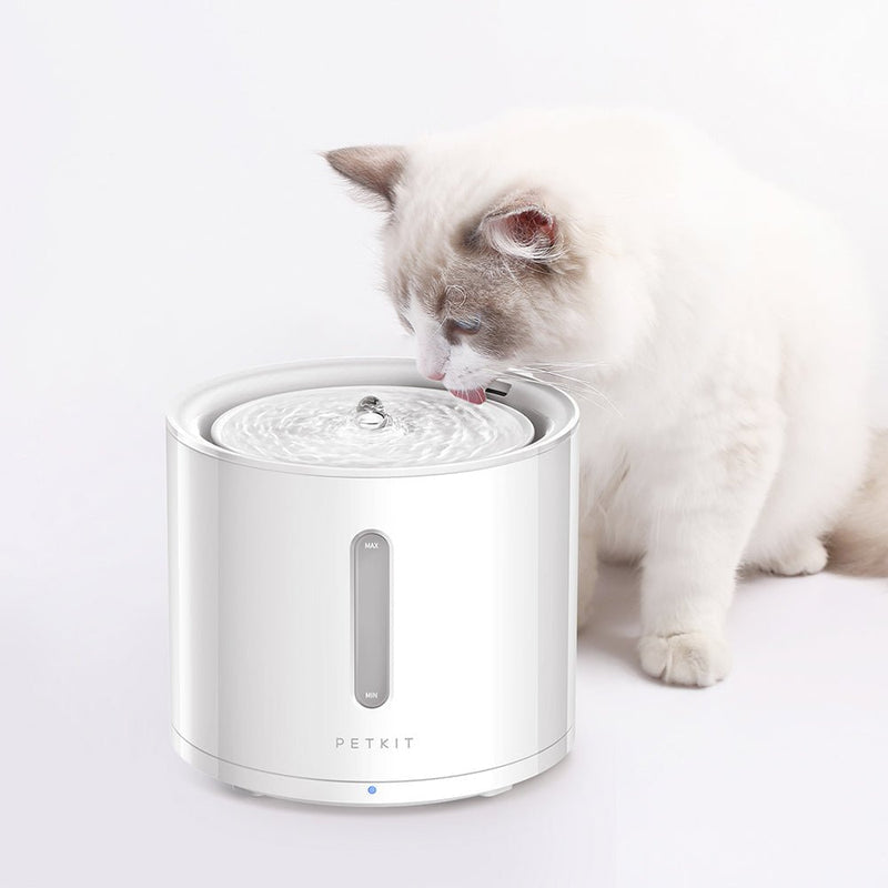 PETKIT EverSweet Solo 2 Pet Water Fountain| Wellbots | Free Shipping