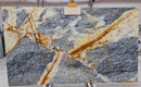 Explosion Blue Bookmatching Marble Slabs Polished - Full Truckload
