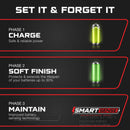 FORM 36V Lithium Golf Cart Charger - 43.8 Volt Output