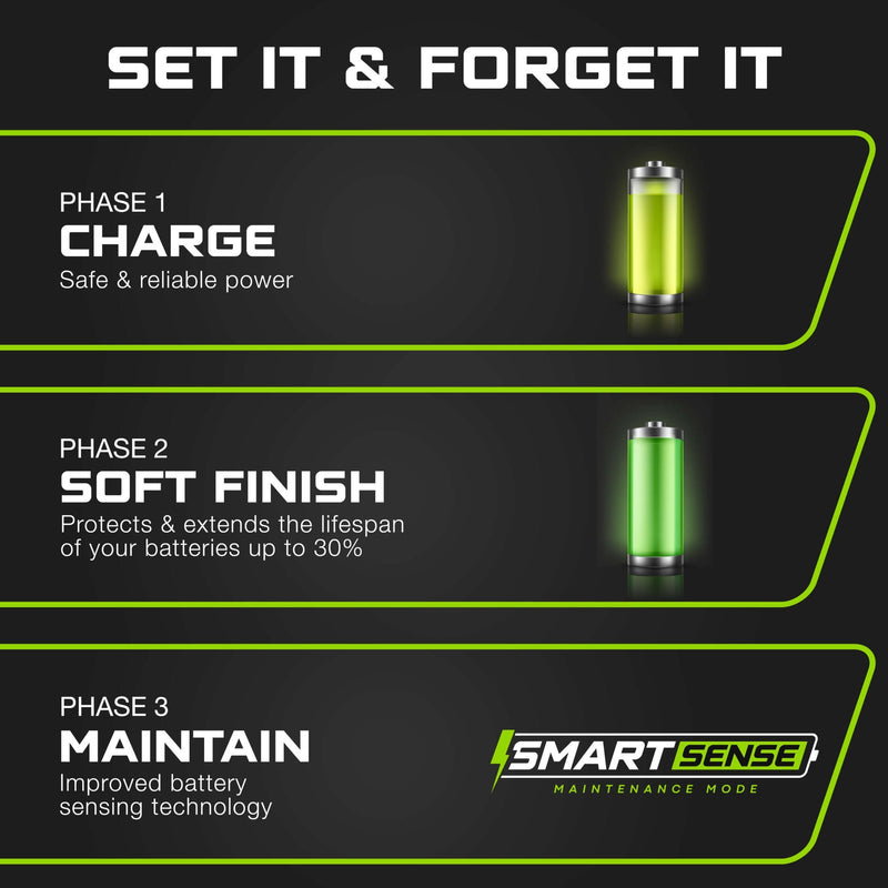 EZGO 48V Golf Cart Charger - RXV & TXT- Lithium, LiFePO4, Lead Acid - ELITE VERSION