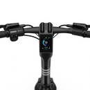 Escooter todoterreno Okai Panther ES800