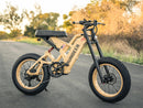 Rundeer Attack10 Off Road Electric Bike