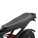 HAPPYRUN G60C 20" Off Road Electric Bike