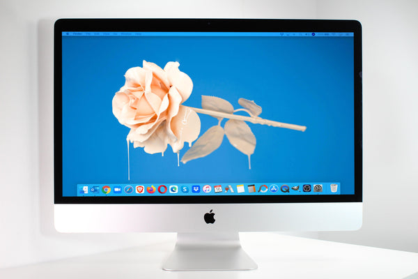 imacwhiteflowerbluebackground_