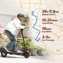 iScooter W5 City Commuting EScooter