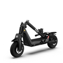 Escooter todoterreno Okai Panther ES800