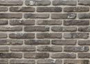 Ferrara Sand Manufactured Stone Handmade Brick Veneer - Livfloors Collection