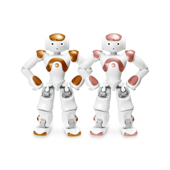Edición de IA de SoftBank Robotics NAO