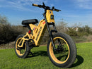 Rundeer Attack10 Off Road Electric Bike