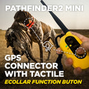 Sistema de seguimiento y adiestramiento de perros con GPS Dogtra PATHFINDER2 MINI