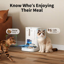 PETKIT YumShare Dual-Hopper 2+EverSweet Fountain
