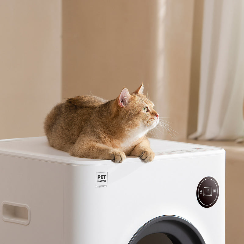 Petmarvel Magic Cube Smart Cat Toilet