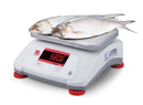 OHAUS VALOR V22PWE1501T Water Resistant Compact Food Scale