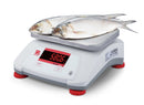 Ohaus V22PWE30T AM Valor 2000 Compact Food Bench Scale