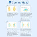 Shape Tactics - 6-in-1 Cavitation Lipo Laser RF Cryolipolysis Machine