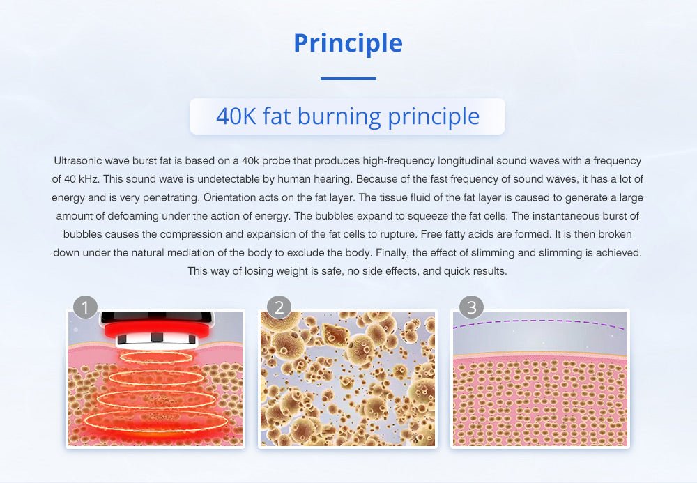 Shape Tactics - Cryolipolysis 40K Cavitation RF Body Contouring System ...