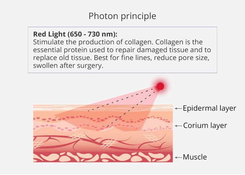 Shape Tactics - Unoisetion 40k Cavitation Ultrasound RF Multipolar Vacuum Photon