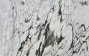 Stingray White Bookmatching Marble Slabs Polished - Livfloors Collection