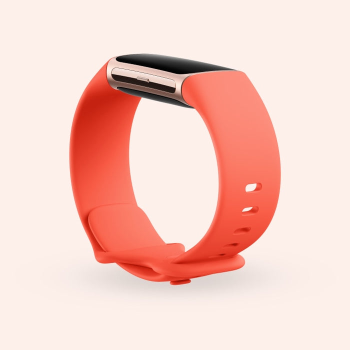 Fitbit Charge 6 | Wellbots | Free Shipping