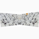 Calacatta Viola White Bookmatching Marble Slabs Polished - Full Truckload