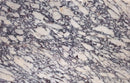 Calacatta Viola White Bookmatching Marble Slabs Polished - Full Truckload