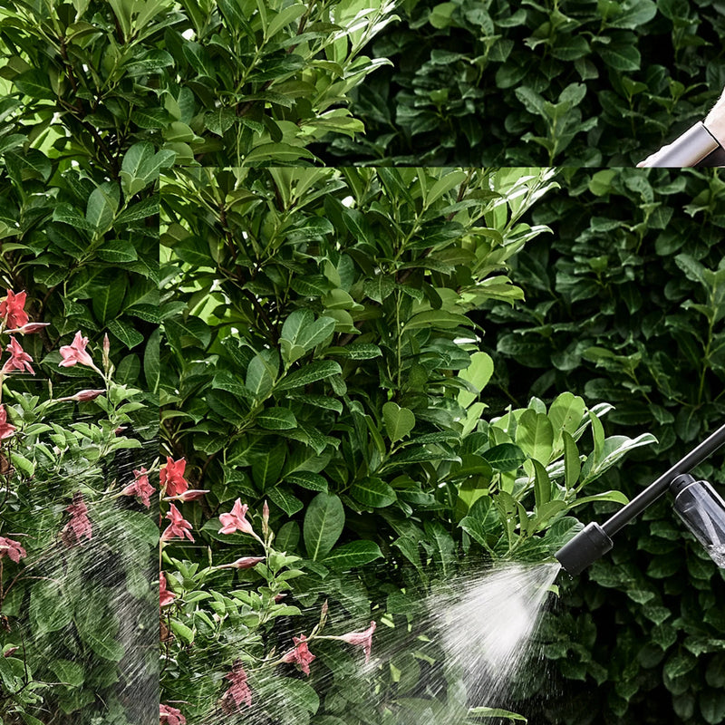 HOTO 20V Pressure Washer Pro