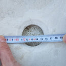 Natural Stone White Limestone Vessel Sink Polished (D)16" (H)6"