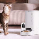 PETKIT Smart Essentials Bundle