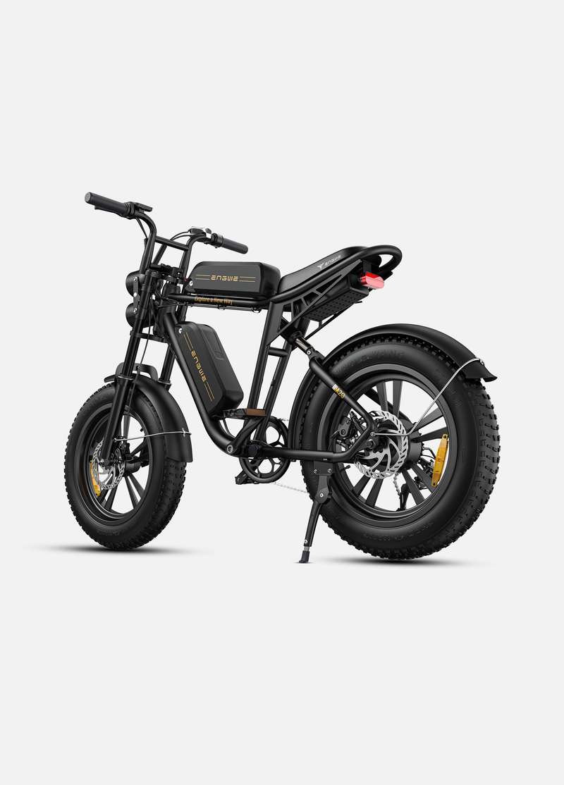 ENGWE M20 Electric Bike