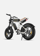 ENGWE M20 Electric Bike
