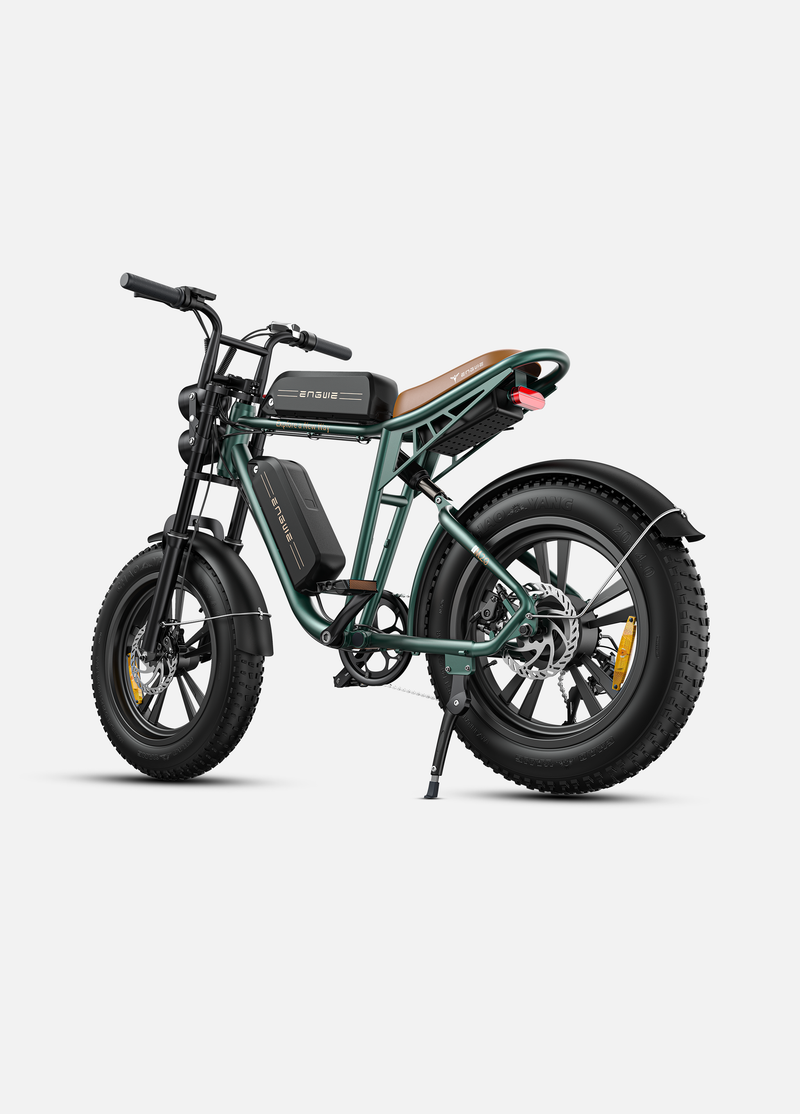 ENGWE M20 Electric Bike
