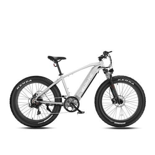 RANGER FAT TIRE EBIKE | Free Shipping | Wellbots