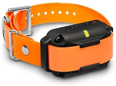 Collar de entrenamiento remoto expandible para 2 perros con receptor adicional Dogtra 2300NCP de 3/4 de milla