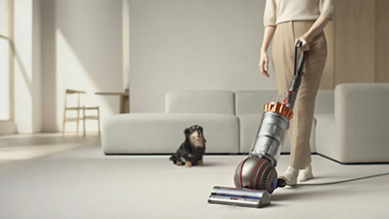 Aspiradora desenredante Dyson Ball Animal 3 para hogares con mascotas
