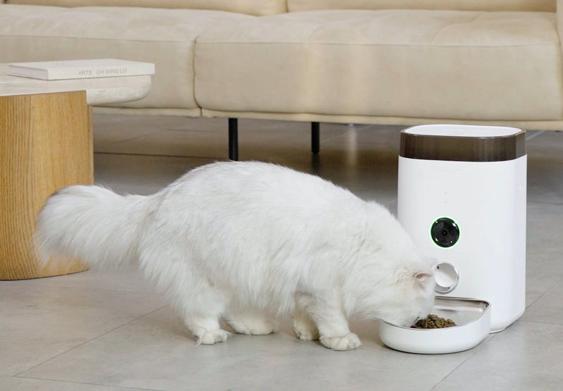 Dogness Wide View Cam Feeder 4 Liters