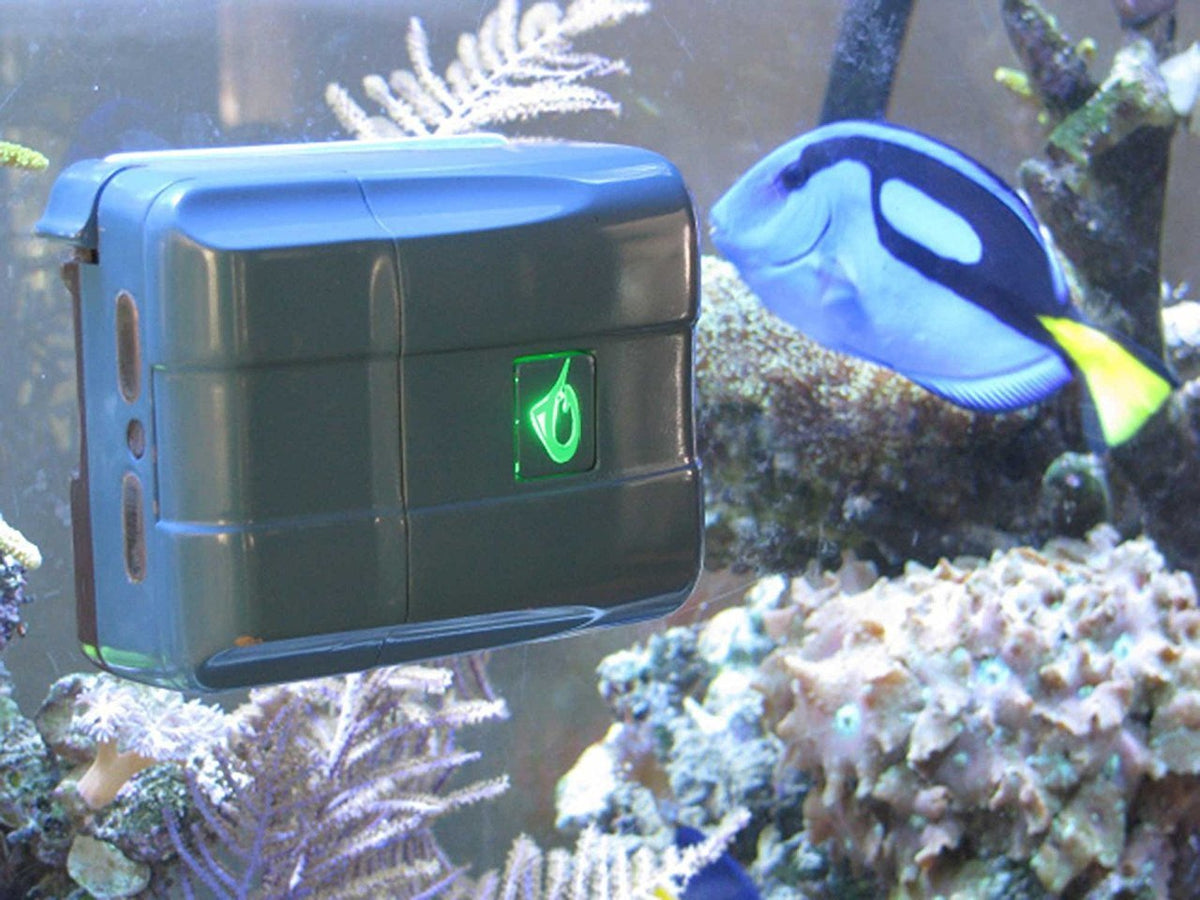 AquaGenesis RoboSnail Automatic Aquarium Glass Cleaner WellBots