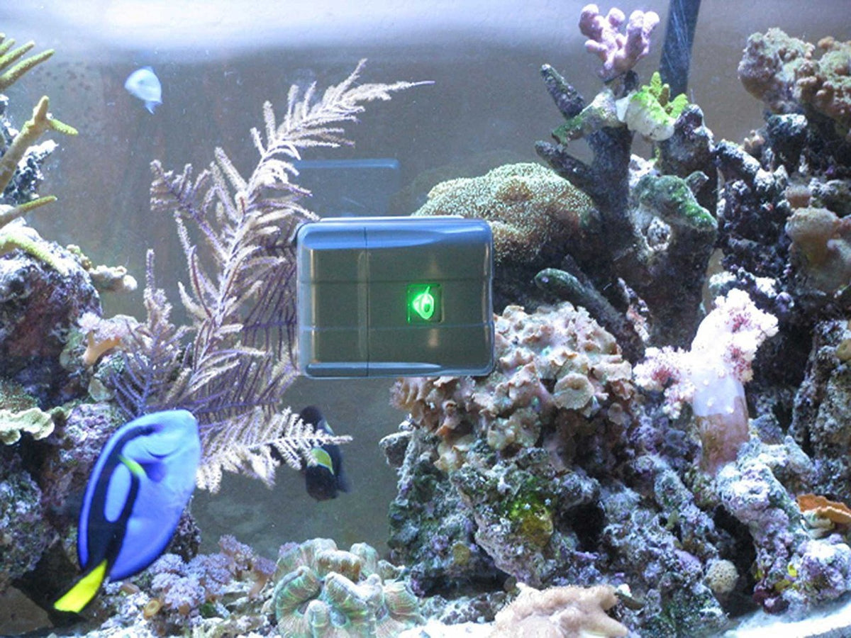 AquaGenesis RoboSnail Automatic Aquarium Glass Cleaner WellBots