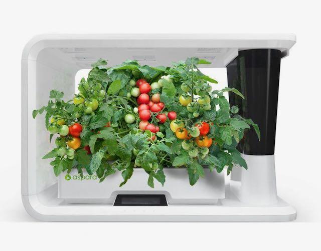 ASPARA SMART GROWER Health & Home Aspara