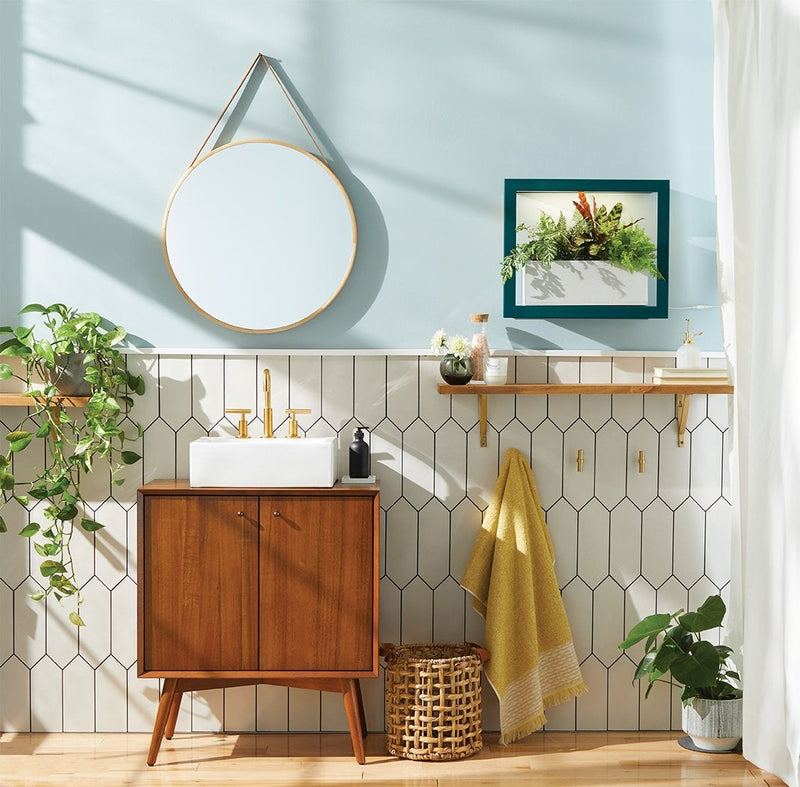 Modern Sprout Smart Standard Growframe - Emerald