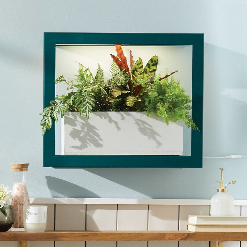 Modern Sprout Smart Standard Growframe