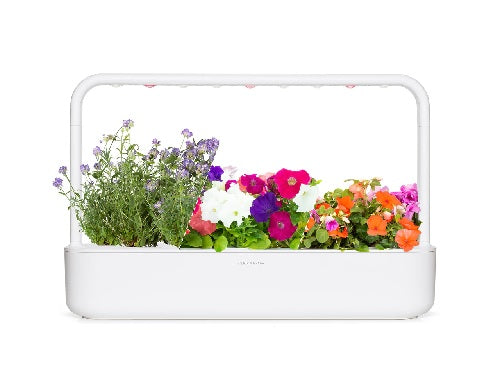 Click & Grow The Blooming Flower Kit