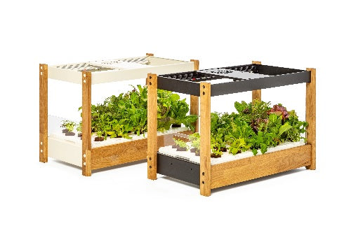 The Click & Grow 25 Smart Garden