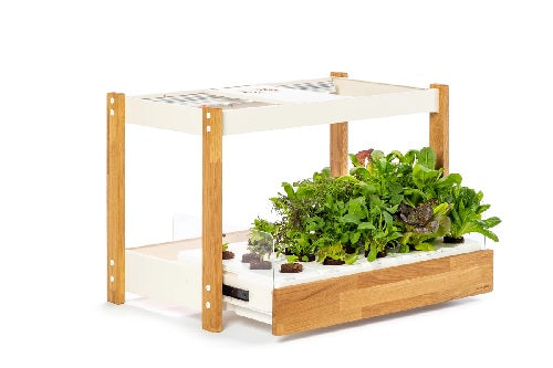 The Click & Grow 25 Smart Garden