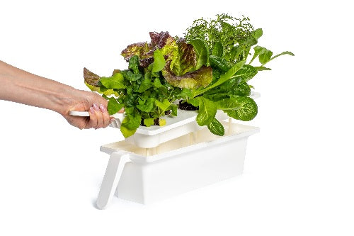 The Click & Grow 25 Smart Garden